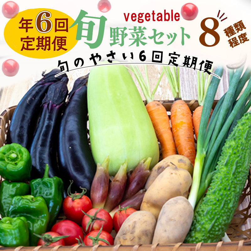 【定期便6回】野菜8種類 セット