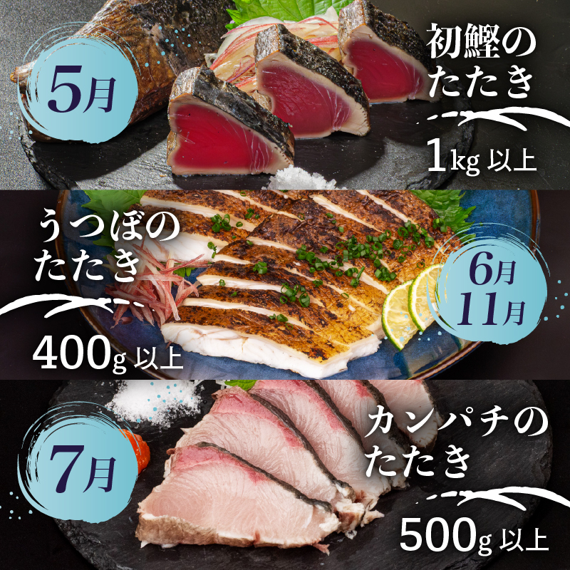 【鮮魚定期便 】 旬 の 刺身 定期便 6回 コース 野島水産 が お届け！ | 漁師町定期便 下処理済み 鮮魚 刺し身定期便 かつお かつおのたたき 藁焼き タタキ 鯛 真鯛 マグロ 牡蠣 しらす 伊勢海老 セット 高知 産地直送 たい まだい 半年 6回 高知県 須崎市