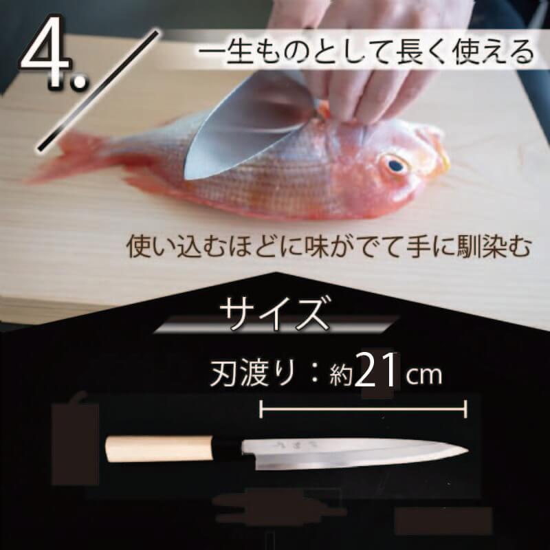 土佐打刃物 包丁 柳刃包丁 青紙包丁 21cm 料理包丁