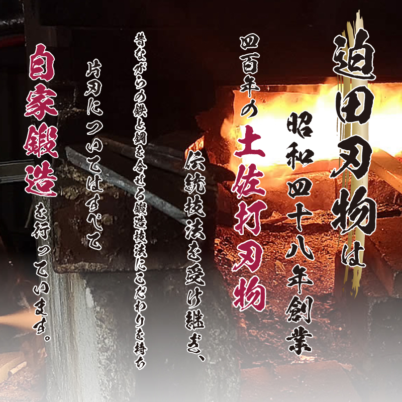 【 土佐打刃物 】 舟行型 万能包丁 16.5cm 白紙2号 迫田刃物 伝統 職人 鍛造 万能 包丁 調理 キッチン 高知県 須崎市 SD042 16.5cm