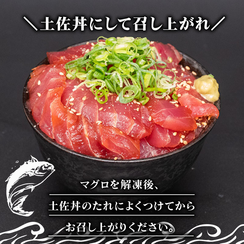 キハダマグロの赤身と丼ぶりのたれセット まぐろの切身とたれのセット 【鮪】
