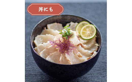 ブランド真鯛【乙女鯛】の藁焼きタタキ 【1尾分】 【小島水産】