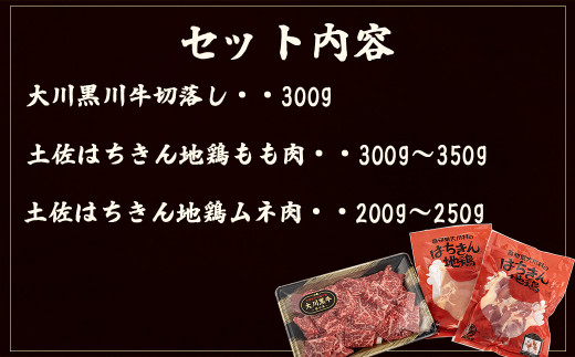 大川 黒毛和牛 切落し 土佐はちきん 地鶏 モモ肉 ムネ肉 3点 セット 須崎 高知 【道の駅須崎】