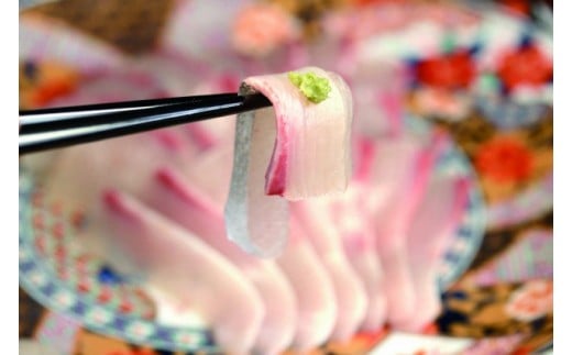 【きわめて美しく、極めて美味しい】極美勘八 【きわみかんぱち】１節 セット 【みなみ丸】