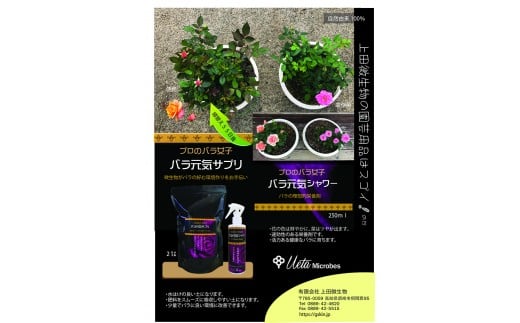 【園芸バラ女子セット】 バラ専用の土改良材と栄養スプレ