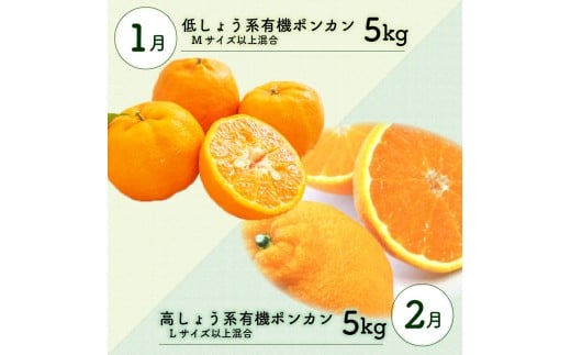 全 3回 3ヶ月 果物 定期便 ぽんかん 土佐 文旦 オーガニック 無農薬 防腐剤 不使用 高知県 須崎市 柑橘 蜜柑 みかん オレンジ フルーツ 果物 お取り寄せ 家庭用 高知県 須崎市 頒布会 3回定期便