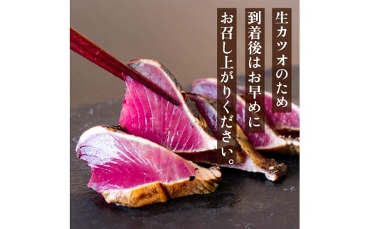 【藁焼き】 かつお タタキ 約600g 約600g