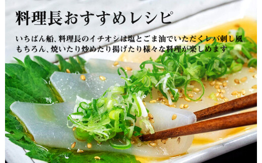 イカ 刺身 200g ~ 280g x 3 パック タルイカ アカイカ もっちり 甘み 小分け パック 便利 刺し身 烏賊 土佐洋 高知県 須崎市 TY022_x