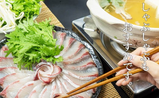 【きわめて美しく、極めて美味しい】極美勘八 【きわみかんぱち】１節 セット 【みなみ丸】 1節 11,000円