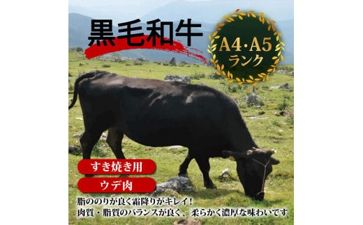 【定期12回】土佐黒毛和牛ウデ肉すき焼き用 計9.6kg【800g×12ヶ月連続お届け】 3Jコース