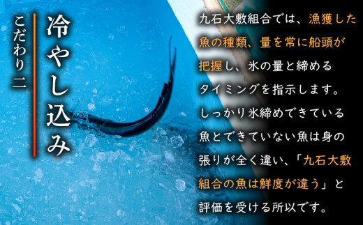 【 船上 神経締め 鮮魚 ボックス 】朝獲れ 直送 大漁コース (2025年7月出荷) 冷蔵 魚種お任せ 水揚げ 海鮮 魚介 産地直送 新鮮 天然 魚 詰め合わせ 2026年7月出荷