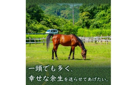 【返礼品なし】 競走馬 引退馬はどこへ？ 黒潮友馬会応援 【5千円コース】 【返礼品なし】5千円コース