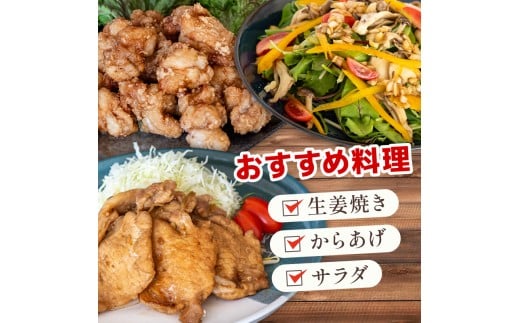 吉平商店【土佐のあわせ しょうが】 パウチ 6パック セット 6パック（パウチ）