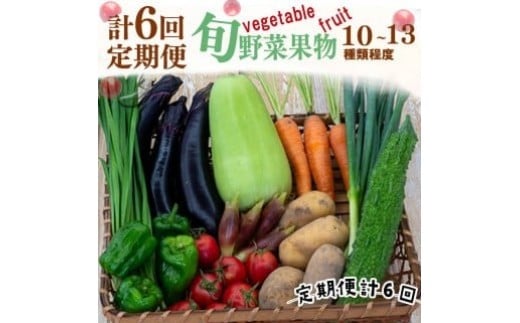 【 定期便 6回 】 野菜 果物 セット 10 から 13 種類 | お楽しみ やさい くだもの フルーツ 果物 セット 旬 春 夏 秋 冬 採れたて 新鮮 農家 直送 詰め合わせ 国産 季節 フレッシュ きゅうり ピーマン なす トマト 大根 白菜 頒布会 高知県 須崎市 ME2000_x