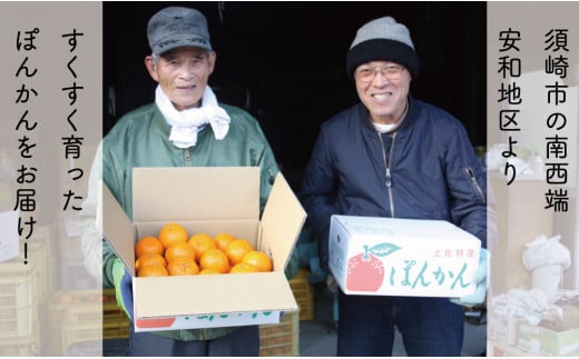 早期予約受付開始 訳あり あわ地区 ポンカン 家庭用 5kg 2026年1月下旬より順次発送
