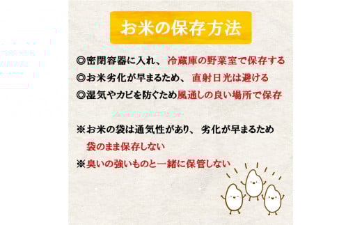 【早期予約】 数量限定 新米 コシヒカリ 5kg 令和7年 白米 精米 米 こしひかり ブランド米 国産 高知県 須崎 しんじょう君 産地直送 5kg
