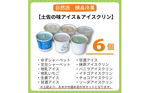 高知 名物 アイスクリン ふるさとの味アイス 6個 セット 【 ゆず 文旦 甘酒 ミルク いちごミルク 生姜 バニラ 抹茶 いちご チョコ ソーダ 人気 カップ スイーツ バラエティ おやつ 詰め合わせ デザート 詰合せ 】 【道の駅須崎】 120mlx6個