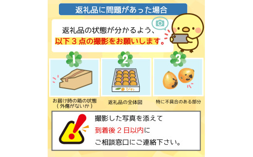 【早期予約】びわ 4パック