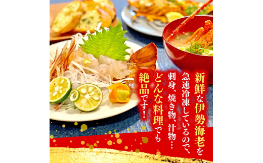 【訳あり】 職人吉岡 の 冷凍 伊勢海老 約 700g 以上 【 サイズ混合 えび エビ いせえび 鮮魚 イセエビ 海鮮 魚介 刺身 焼き物 汁物 ギフト 贈答 贈り物 祝い 歳暮 中元 天然 海の幸 高知県 須崎市 】 IKY054 【高知県】 約700g