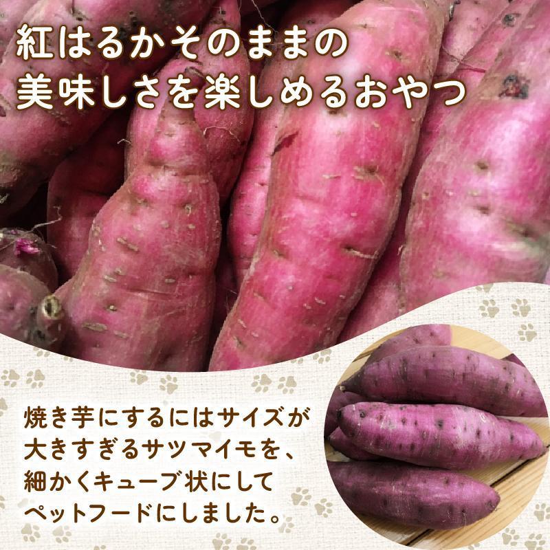 ペットフード さつまいも キューブ 300g お試し 犬用 わんちゃん ペット ご飯 おやつ 芋 さつま芋 サツマイモ 選べる 容量 国産 高知 須崎 TJ020 300g