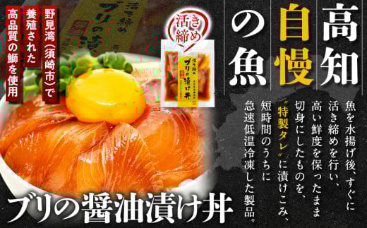 漬け丼セット 計 10 パック （ 5 種類 × 2 パック ）｜ 海鮮 醤油 漬け 10 セット 藁焼き 鰹 タタキ かつお カツオ サバ さば 鯖 真鯛 鯛 たい タイ カンパチ 勘八 ブリ 鰤 詰合せ セット 惣菜 海鮮丼 お刺身 小分け パック 国産 セット お茶漬け 時短 簡単 お手軽 人気 惣菜 海の幸 刺し身 漬け 丼 加工品 冷凍 みなみ丸 高知県 須崎市 MM015_x 5種類・各2パック