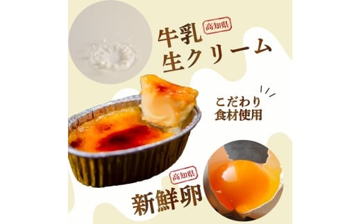 12ヶ月 定期便 濃厚 焦がしクリームブリュレ 9個 冷凍 アイス プリン カタラーナ スイーツ デザート 卵 お菓子 洋菓子 焼き菓子 氷菓子 ギフト おやつ キャラメル ミルク個 牛乳 生クリーム 包装 贈答 飯テロ 夜食 贅沢 ご褒美 贈り物 お取り寄せグルメ アフタヌーンティー 高知県 須崎 クリームブリュレ定期9個×12回