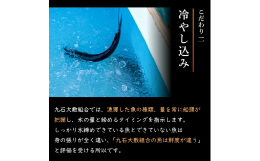 船上 神経締め 天然 鮮魚 詰め合わせ 朝獲れ直送 下処理済み 3~5種入り 1kg～1.5kg （2026年2月出荷） 冷蔵 刺身 魚種お任せ 水揚げ 海鮮 魚介 産地直送 新鮮 魚 鮮魚ボックス 2026年2月出荷 1kg~1.5kg（冷蔵）