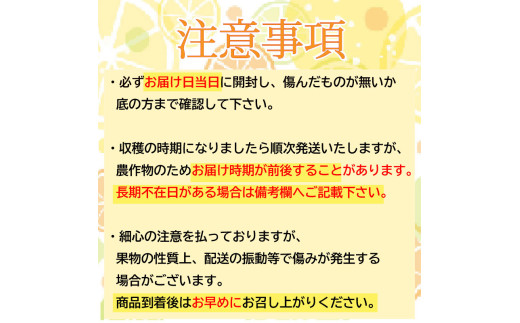 【早期予約 5月中旬～発送】 【 超訳あり 】 小夏 ( 日向夏 ) 5kg 産地直送 ニューサマーオレンジ マル 等級  旬 高知 県 須崎 産  柑橘 初夏 フルーツ 果物 こなつ コナツ ひゅうが夏 みかん オレンジ HK002 超 訳あり（マル）