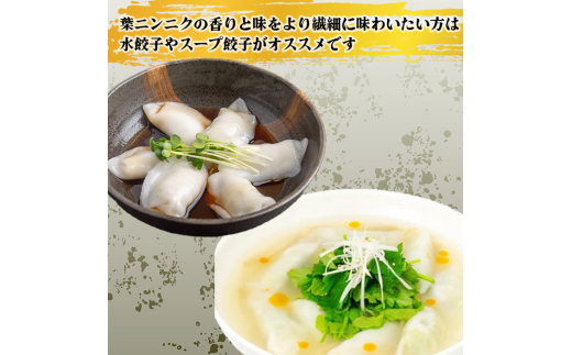  有機葉ニンニクと四万十豚で作った最高級餃子（6個x2パック）完全無添加 12個(6個x2パック)