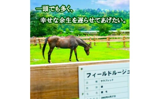 競走馬 引退後はどこへ？ 黒潮友馬会応援 【1万円コース】 1万円コース