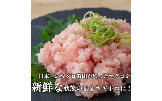 まぐろ 食べ比べ ( 赤身 ネギトロ ) 小分け 真空パック 冷凍 マグロ 鮪 マグロのたたき セット 刺身 刺し身 ネギトロ丼 海鮮丼 ご飯のお供 おかず 惣菜 手軽 便利 ふるさと納税 人気 ふるさと納税まぐろ ふるさと納税鮪 TY030