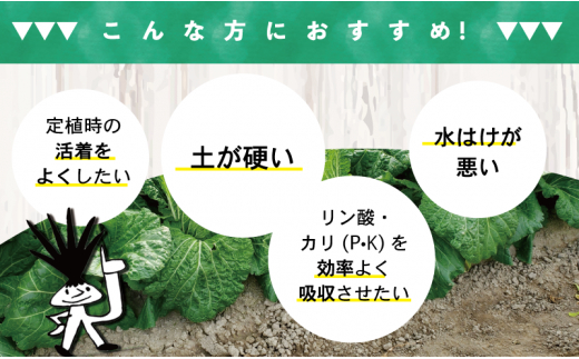 酵素 堆肥 80L GensukeGREEN 40L 2袋 セット 家庭菜園 野菜 栽培 微生物 肥料 土づくり リサイクル 高知県 須崎市UB032 2袋