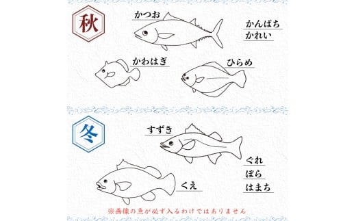 【魚屋のプロが厳選！】 鮮魚 BOX 2kg 2kg