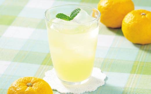 柚子 ゆず ドリンク 200ml × 12本 果物 果汁 高知アイス 高知県産 ユズ 100% 須崎市 ICE044