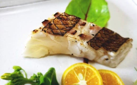 鯛 タイ 刺身 片身 鮮魚 日本最高峰評価のマダイ ブランド 海援鯛 魚 産地直送 高知県 須崎市