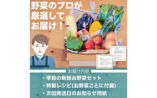 定期便 6回 6ヶ月 半年 野菜 12~13品前後 詰め合わせ 産地直送 セット あわ地区 旬の野菜 やさい ベジタブル キット 季節野菜 高知 須崎 国産 人気 半年間 毎月 お届け 頒布会 AWA8000_x
