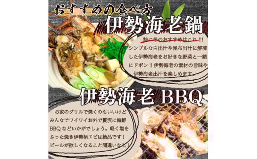 ハーフカット伊勢海老  4ピース1.4kg以上 冷凍 ( 特大サイズ 急速冷凍 えび エビ 高級 鮮魚 海鮮 魚介 刺身 焼き物 汁物 ギフト 贈答 贈り物 祝い 歳暮 中元 年末 年始 早期 予約 ) IKY081_x 4ピース1.4kg以上