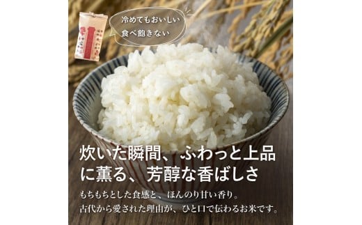 米 令和7年 新米 薫る神様のお米 お米 ブレンド米 縁起米 奉納米 白米 9合 3合 ×3袋 桐箱 想い札 セット こめ コメ おこめ ご飯 ごはん お試し 少量 希少米 香り米 贈答 縁起物 受験 お祝い 人気 祈願 商売繁盛 家内安全 五穀豊穣 限定米 特別栽培米 農薬不使用 高知県 須崎市 UB044 3合×3袋(桐箱・想い札付き)