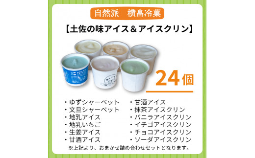 高知 名物 アイスクリン ふるさとの味アイス 24個 セット 【 ゆず 文旦 甘酒 ミルク いちごミルク 生姜 バニラ 抹茶 いちご チョコ ソーダ 人気 カップ スイーツ バラエティ おやつ 詰め合わせ デザート 詰合せ 】 【道の駅須崎】 120ml×24個