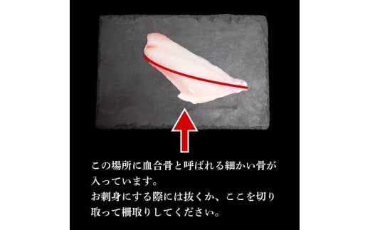 天然 鮮魚 詰め合わせ 朝獲れ直送 下処理済み 2~3種入り 500g以上 （2026年4月出荷） 冷蔵 刺身 魚種お任せ 水揚げ 海鮮 魚介 産地直送 新鮮 魚 鮮魚ボックス 2026年4月出荷 500g（冷蔵）