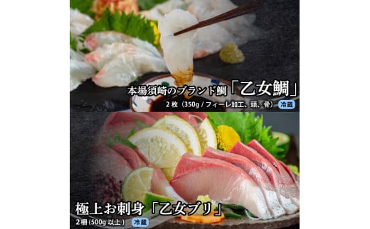 刺身 定期便 3ヶ月 お好きなお魚が選べる！ 小島水産 産地直送 3回 新鮮 かつおタタキ 真鯛 ブリ 刺身 乙女鯛 乙女ブリ 藁焼き かつお タタキ 鯛 タイ たい 鰤 鰹 かつおのたたき タタキ カツオ 海鮮 鮮魚 魚 お刺身 高知県 須崎市 KS29000-x