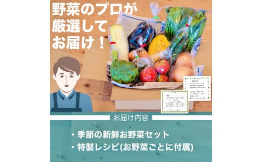 旬 野菜 詰め合わせ セット 7~8品種 高知県 須崎市 やさい 送料無料  AWA009_x