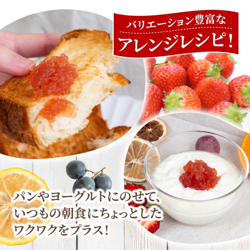 【7月発送】季節の果実ジャム 3種（各100g） パック セット ジャム じゃむ 季節の果実 果物 詰め合わせ フルーツジャム 国産 6000円 6千円 高知県 須崎市 TJ0071 7月