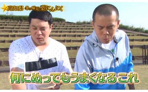 【高知家のうまいもの大賞グランプリ受賞】 藁焼き ブリ ぬた セット 食べ比べ セット ソース ドレッシング ぶり わらやき 肉 牛 豚 鶏 ハンバーガー ご当地 万能 調味料 ニンニク 無農薬 有機栽培 鰤 鮮魚 カツオ 鰹 スパゲッティ パスタ 麺 イタリアン ジュノベーゼ サラダ ピザ 食品 詰め合わせ 小分け 冷凍 便利 自宅 伝統 ギフト プレゼント 高知県産 須崎市 EA106_x