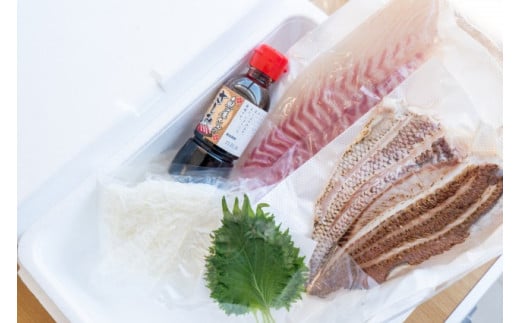 鯛 タイ 刺身 まるごと 1匹分 約600g～800g 鮮魚 炙り 柵  魚 産地直送 高知県 須崎市