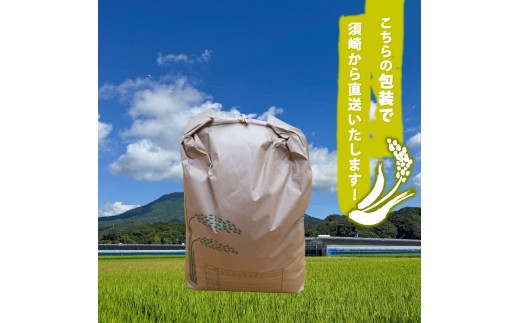 2025年 コシヒカリ 3Kg 産地直送 高知県産 白米 精米 こしひかり 米 常温 配送 ブランド米 国産 米 早場米 人気 天然 恵み 心 高知県 須崎市 SI001 ３kg