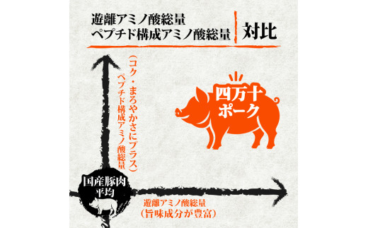 【定期12回】四万十ポークスライス 計14.4kg【1.2kg×12ヶ月連続お届け】 2Gコース