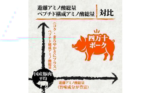 【定期3回】四万十ポークスライス 計3.6kg【1.2kg×3ヶ月連続お届け】 2Eコース