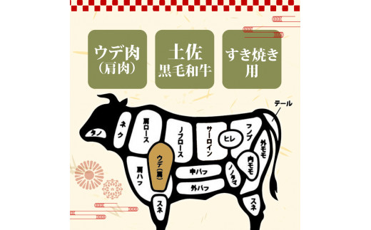 土佐黒毛和牛A5?A4等級【特撰ウデ肉】すき焼用８００ｇ 【土佐黒毛和牛和牛】