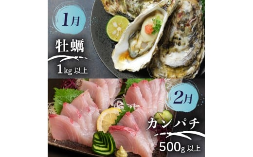 【 高知 の 海鮮 定期便 】 旬 海鮮定期便 6回 お楽しみ 高知 海鮮 かつお タタキ 鯛 タイ 勘八 カンパチ 牡蠣 カキ しらす シラス ウツボ うつぼ 貝 盛合 定期便 6回  半年 高級魚  魚貝 道の駅 高知県 須崎市 NS10000-x 【須崎の鮮魚定期便】6ヶ月コース